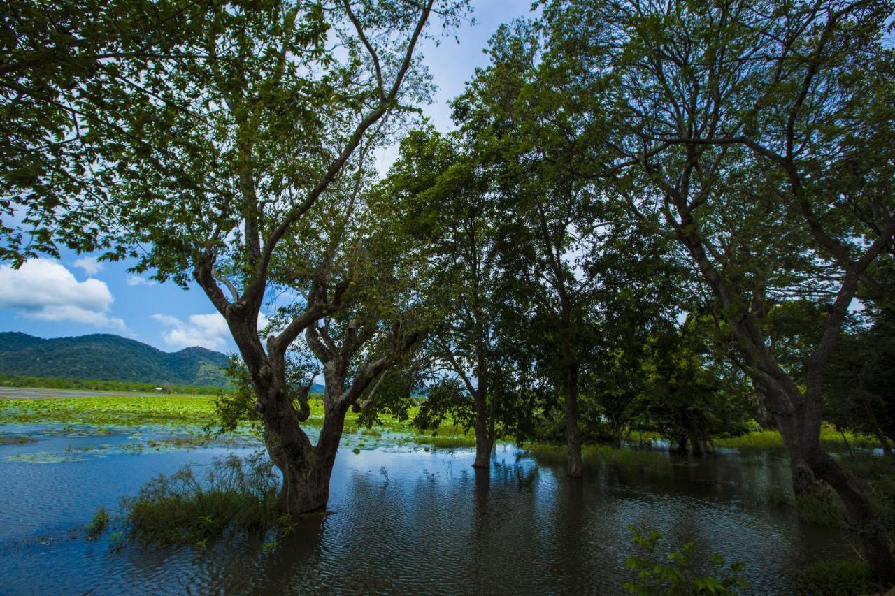 Grand Tamarind Lake Kataragama Exterior photo